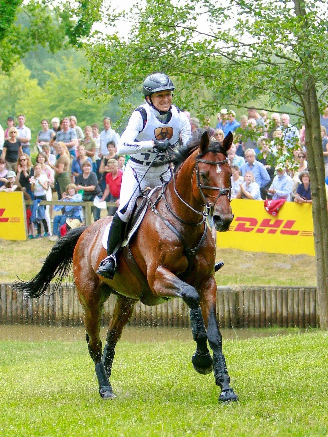 週末値引！　鞍　Ingrid Klimke（イングリッド クリムケ） PASSIER＞ Ingrid Klimke（イングリッド クリムケ） - Horsy Net